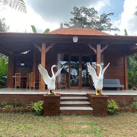 Lembah Cinta Mayungan Baturiti المظهر الخارجي الصورة