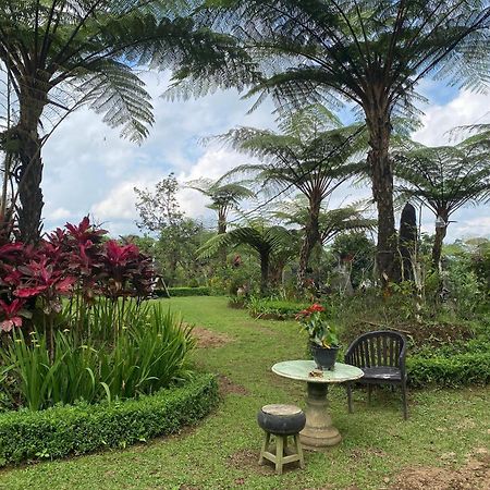 Lembah Cinta Mayungan Baturiti المظهر الخارجي الصورة