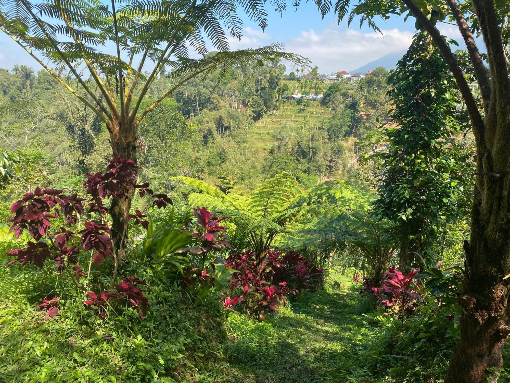 Lembah Cinta Mayungan Baturiti المظهر الخارجي الصورة