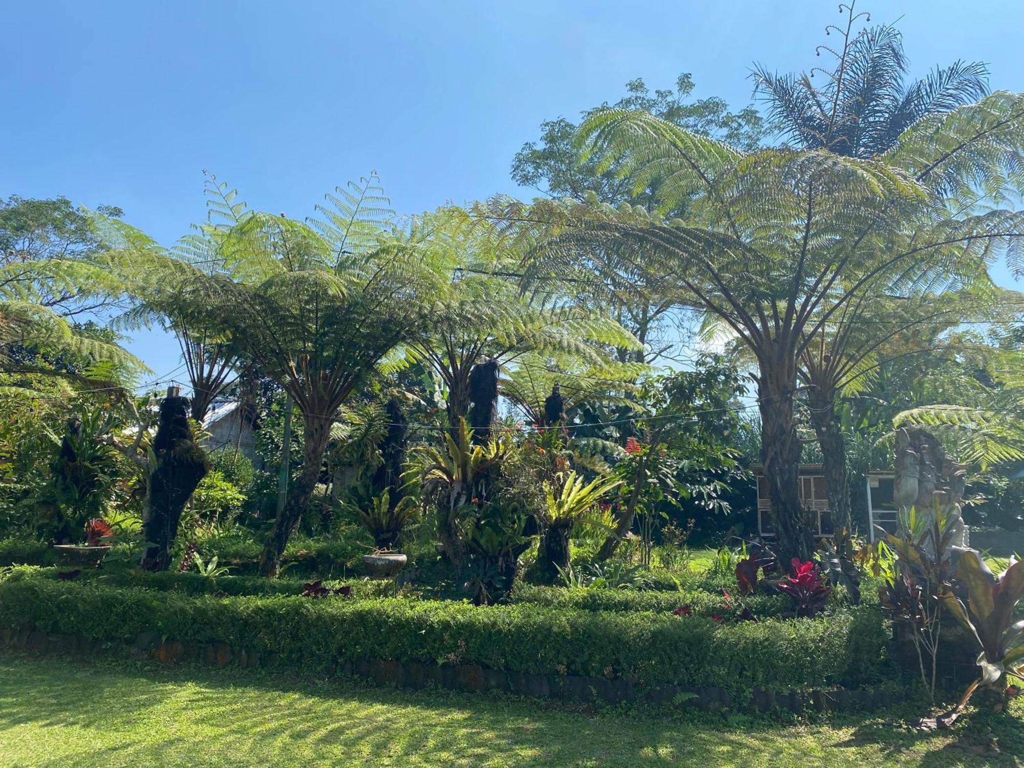 Lembah Cinta Mayungan Baturiti المظهر الخارجي الصورة