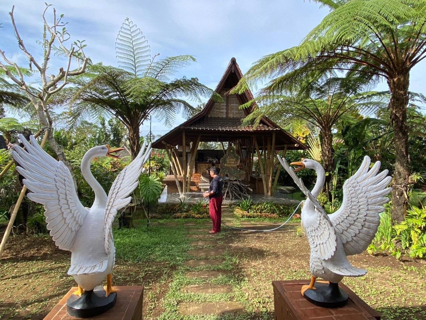 Lembah Cinta Mayungan Baturiti المظهر الخارجي الصورة