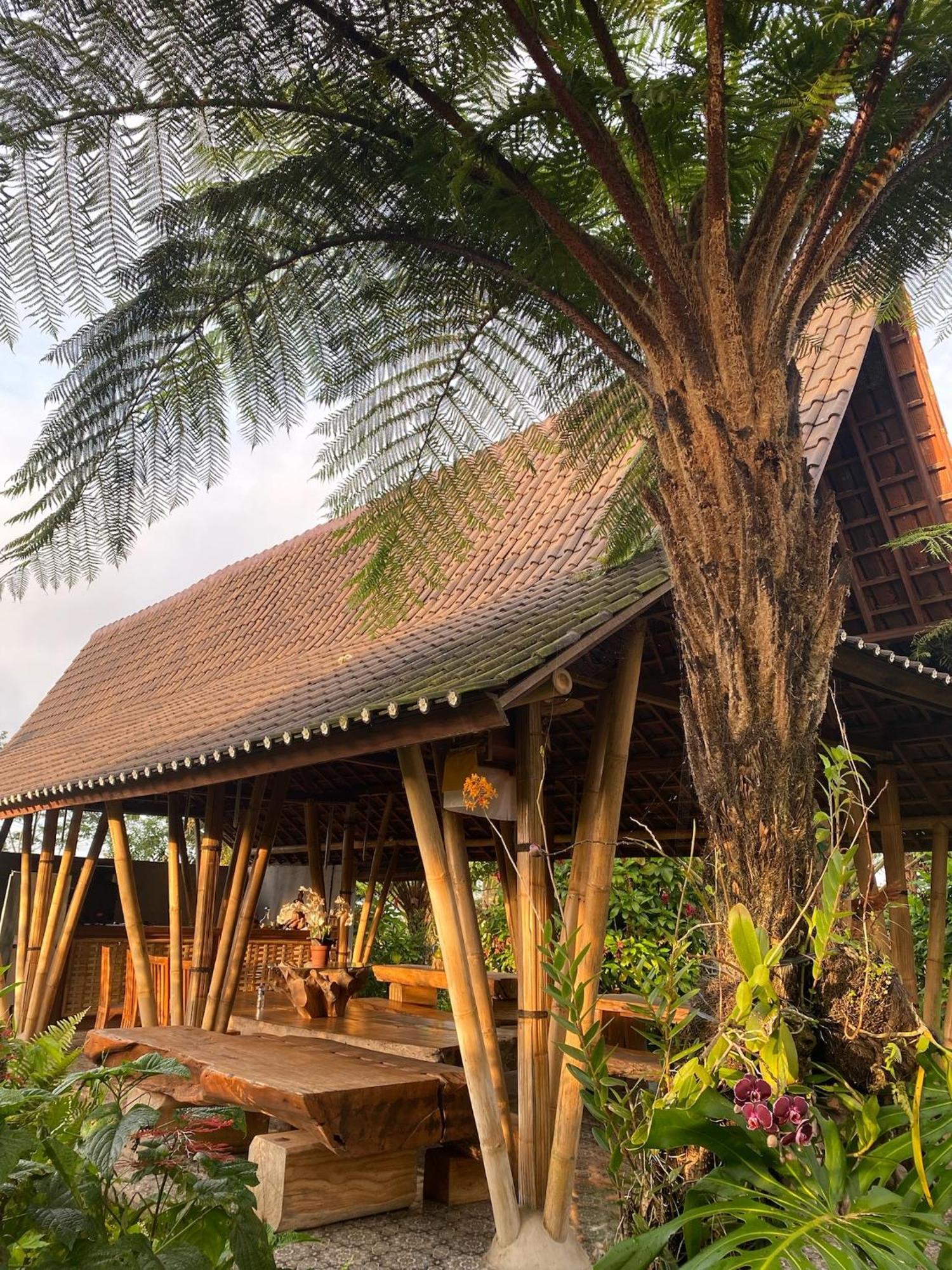 Lembah Cinta Mayungan Baturiti المظهر الخارجي الصورة