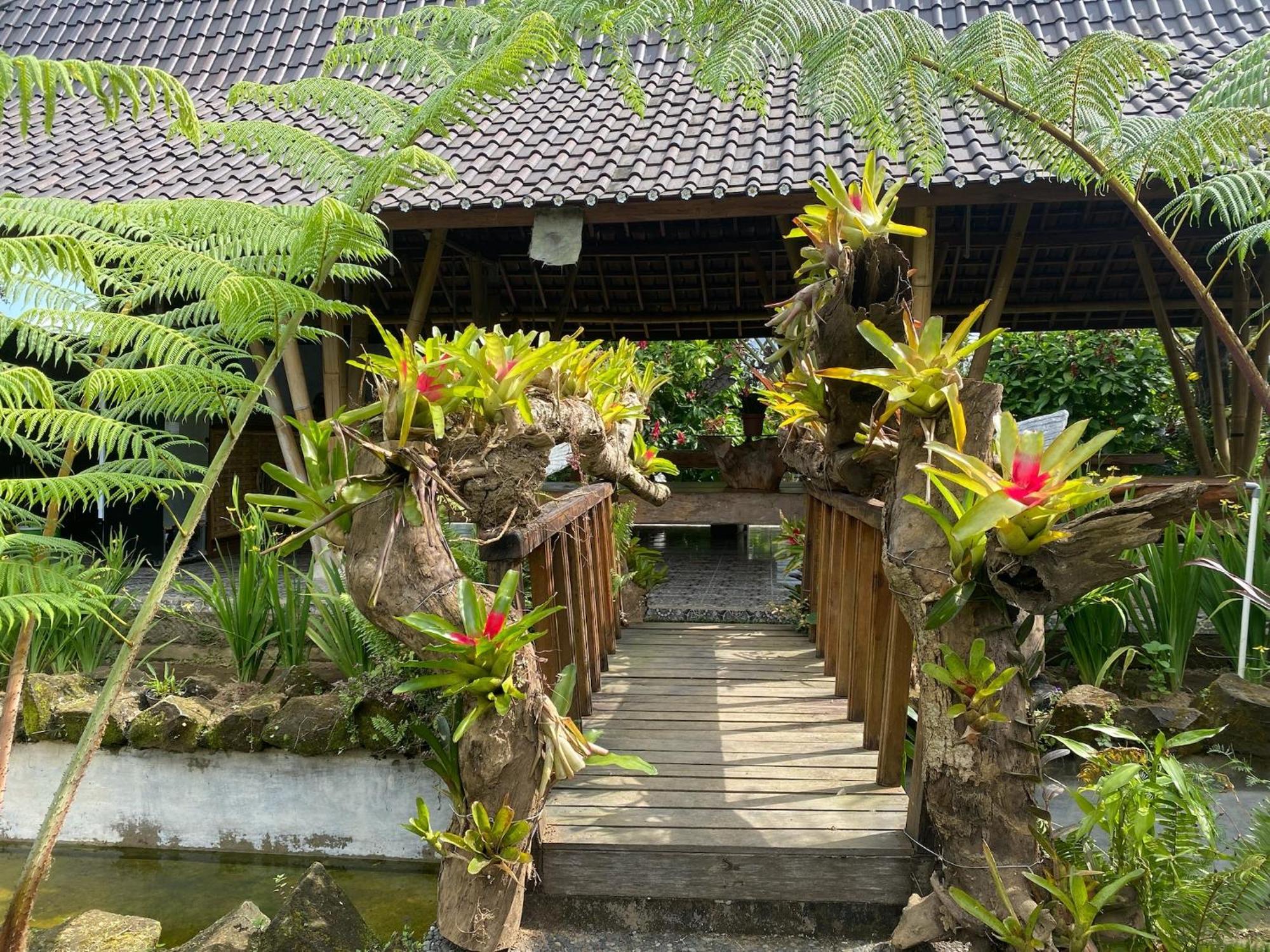 Lembah Cinta Mayungan Baturiti المظهر الخارجي الصورة
