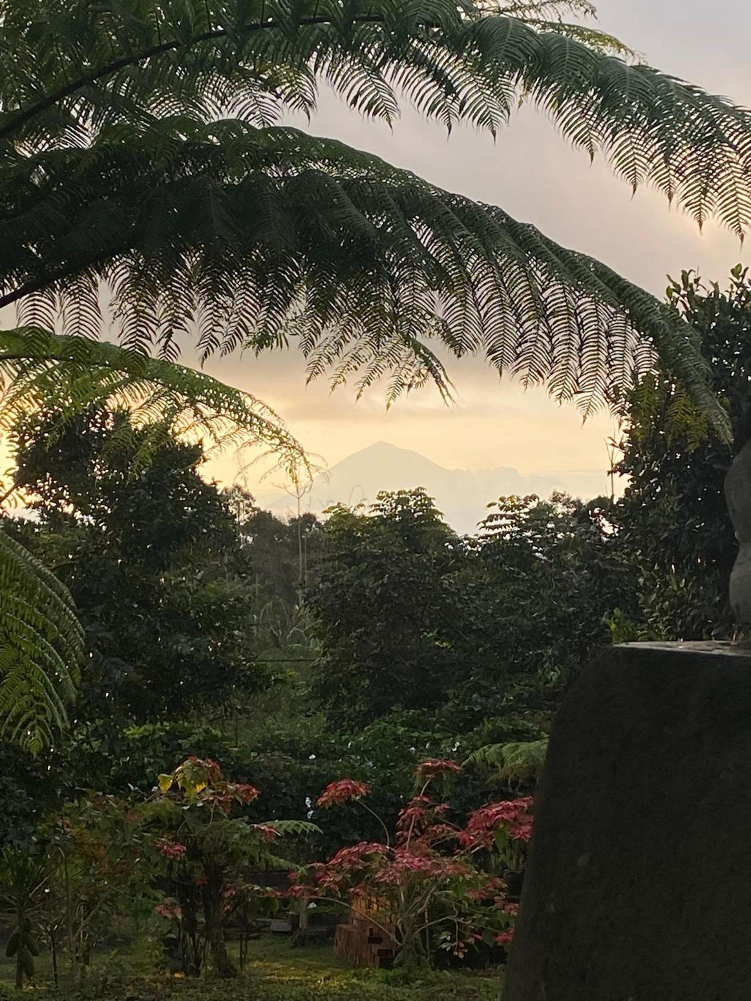 Lembah Cinta Mayungan Baturiti المظهر الخارجي الصورة